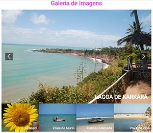 Galeria de Imagens